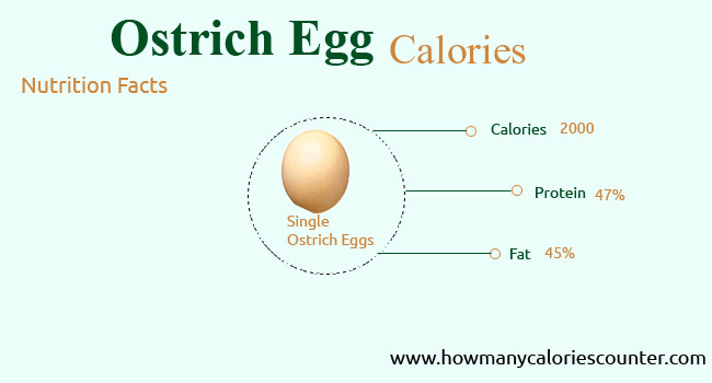 Calories in Ostrich Egg