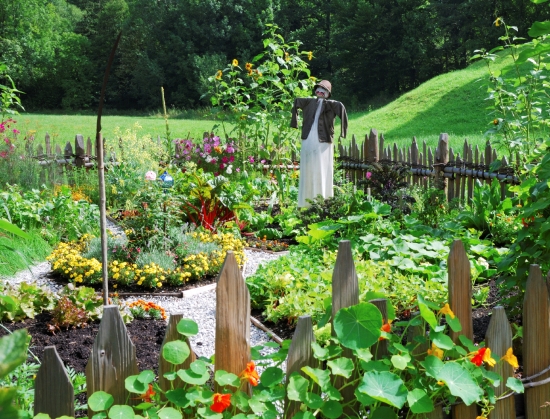 benefits of planting your own vegetable garden